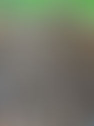 My Summer Break So Far