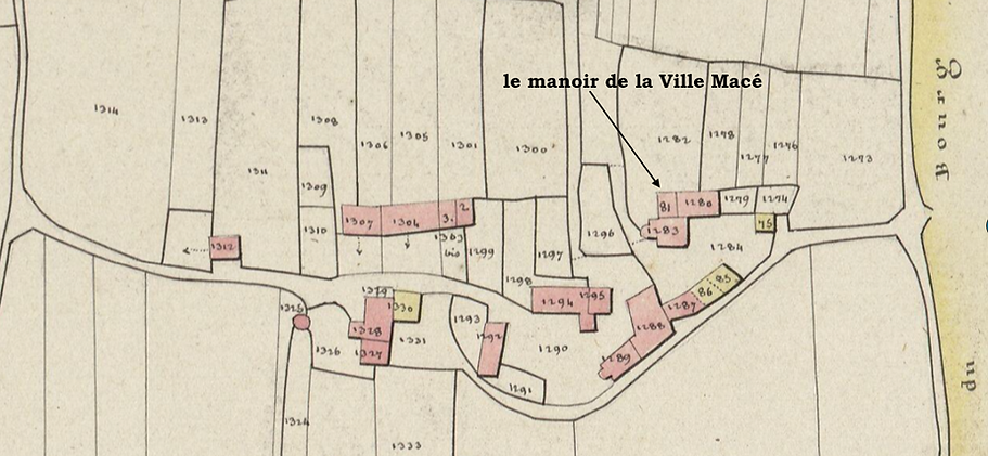 Capture d’écran 2025-07-17 115317.png