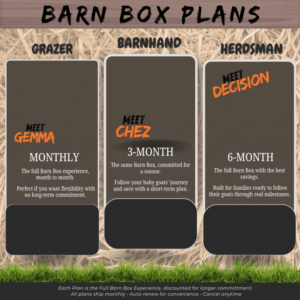 barn box tiers.gif