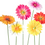 Thumbnail: Gerbera Mixed