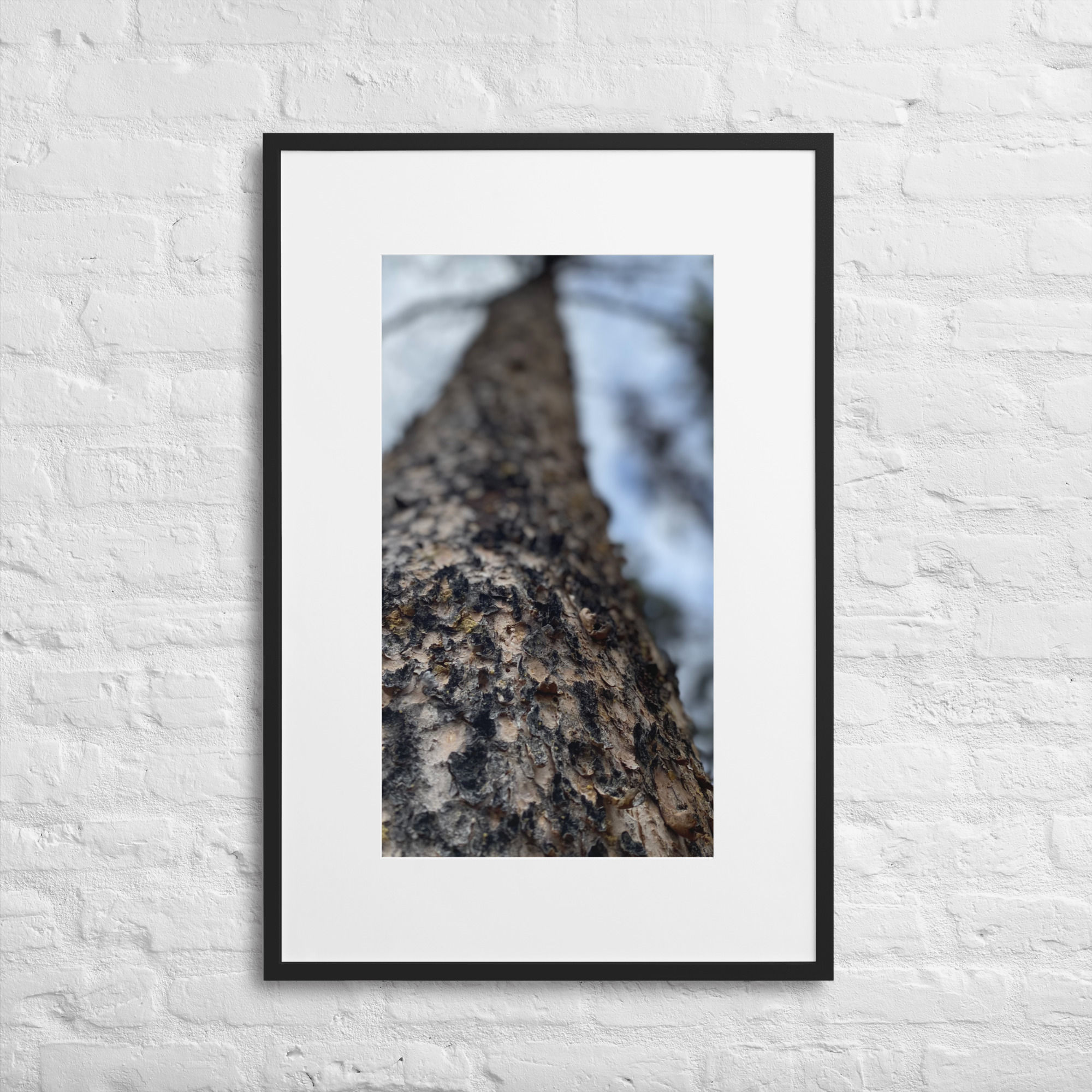 Matte Paper Framed Poster With Mat