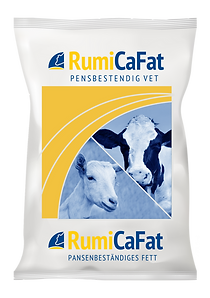 RumiFat + rumiPalm Zak (4).png