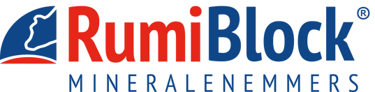 Logo RumiBlock.png