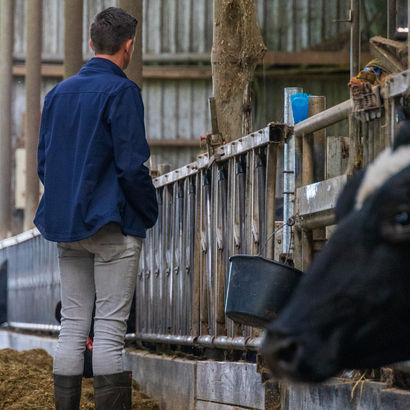 Waarom een complete pensbuffer als pH Stabil meer doet dan alleen natriumbicarbonaat