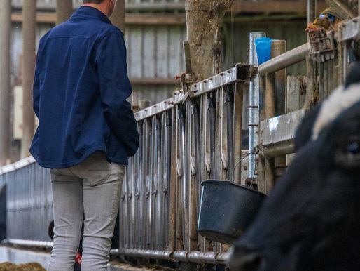 Waarom een complete pensbuffer als pH Stabil meer doet dan alleen natriumbicarbonaat