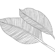 Logo de G'ANA