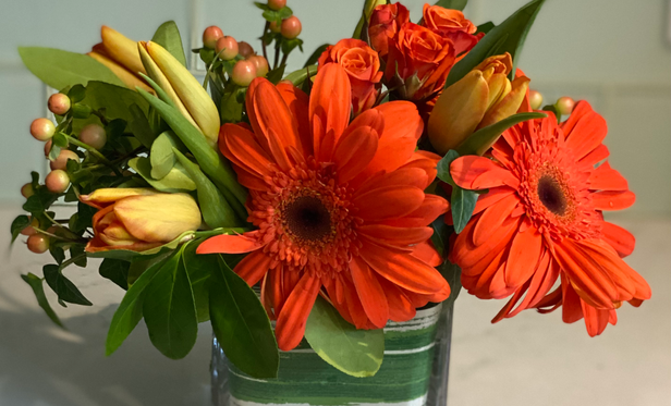 Choose your Pop of Color (Small) $40.heic