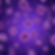2026第1901期.png