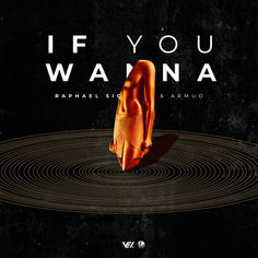 Raphael Siqueira & Armud - If You Wanna [Vex Release] out now!