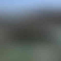 Ca' d'Oro view of Grand Canal, Venice (3)