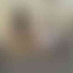 Il Palio della Balestra, Sansepolcro (5)