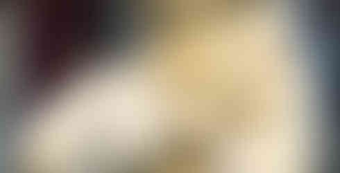 Belvedere Torso, Pio-Clementino Museum,