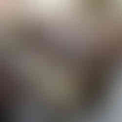 Il Palio della Balestra, Sansepolcro (8)