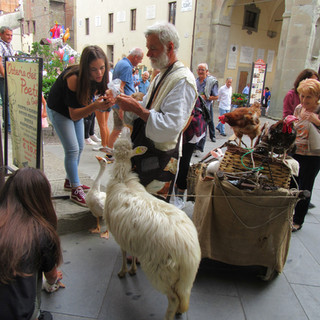 Il Palio della Balestra, Sansepolcro (8)