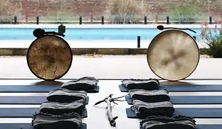 ox gen coffs drum.webp