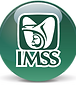 IMSS.png