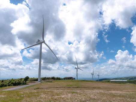 Last kilometre in Turitea!