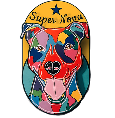 Super Nova logo resized_edited.png