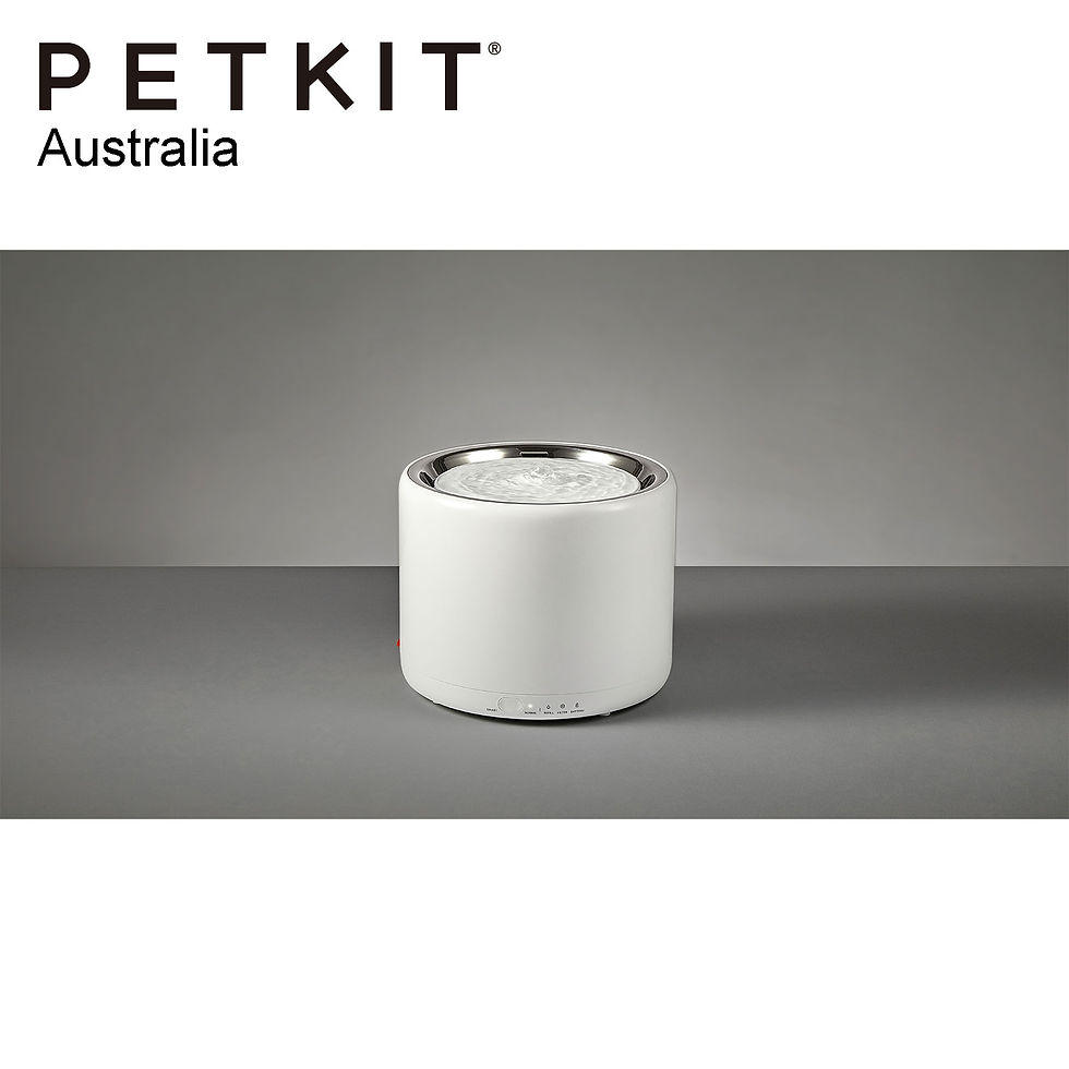Thumbnail: PETKIT EVERSWEET 3 Pet Water Drinking Fountain