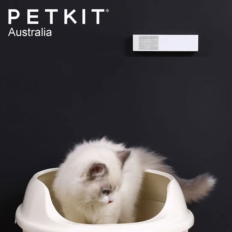 Thumbnail: PETKIT PURA AIR Smart Odor Eliminator Air Purifier