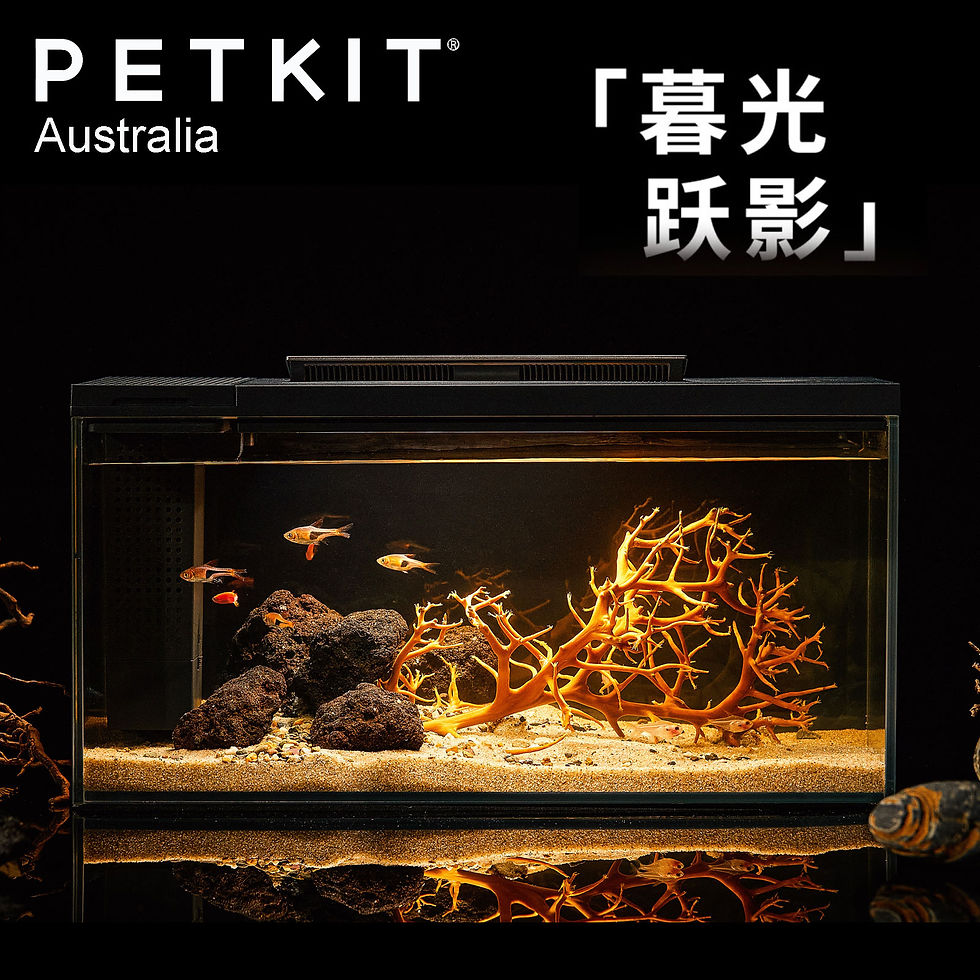 Thumbnail: PETKIT Eraark Smart Fish Tank With Landscape – Twilight Shadow
