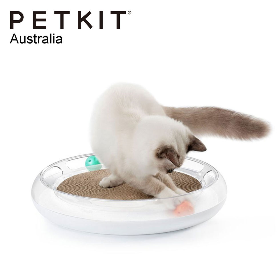 Thumbnail: PETKIT FUN CAT 4 in 1 Scratcher Playground