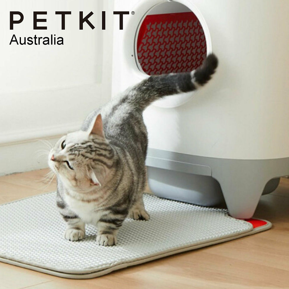Thumbnail: PETKIT Pura X Litter Mat Replacement