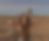 new website wireframe.png