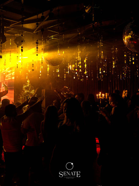 Новогодний фоторепортаж с Senate Night Club