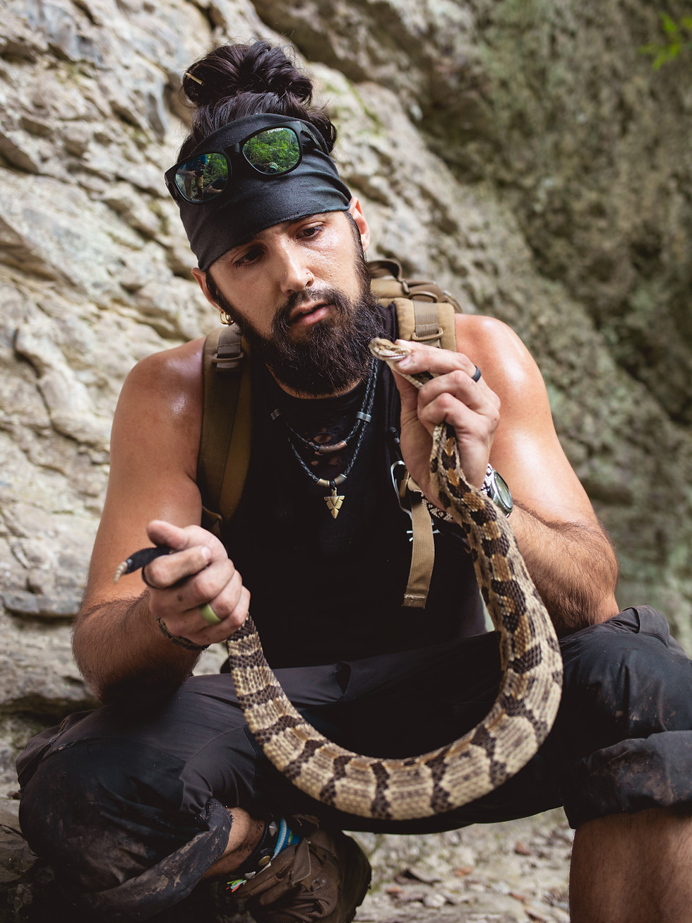 Cotten Mouth Snake