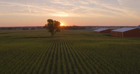 DJI_0108.00_00_07_15.Still001.jpg