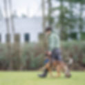 IMG_3404.jpeg