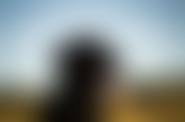 Kuvia Ilonasta ja Leevistä