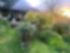 image00087.jpeg