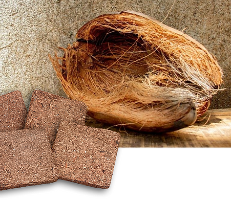 Charbon biofiltre.png