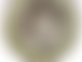 Elizabeth Cady Stanton & Farmington