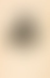 Listen to Their Voices: Farmington and the Underground Railroad