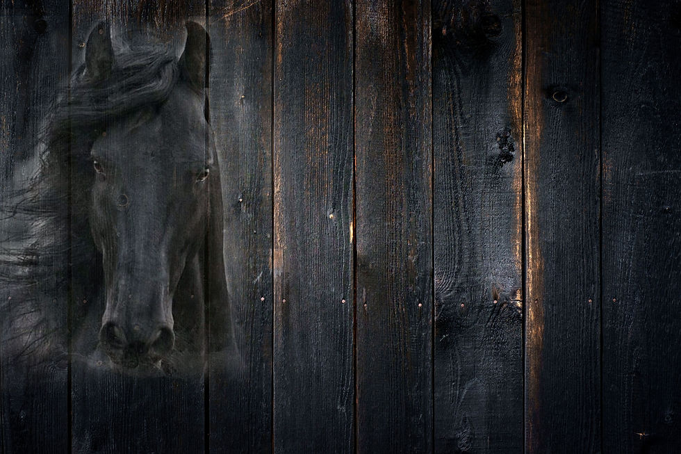 Horse and Hounds Restaurant / bar Ocala, Fl