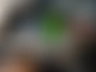 What Causes Antifreeze to Leak?