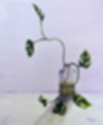 Thumbnail: House Plant in Glass Vessel #3