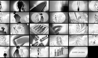 portfolio_ESTEE LANDER.jpg