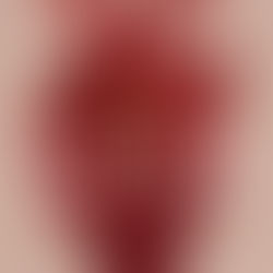 Anatomy ~ Dana Schwartz