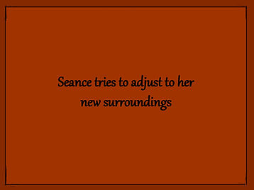 New Surroundings.jpg