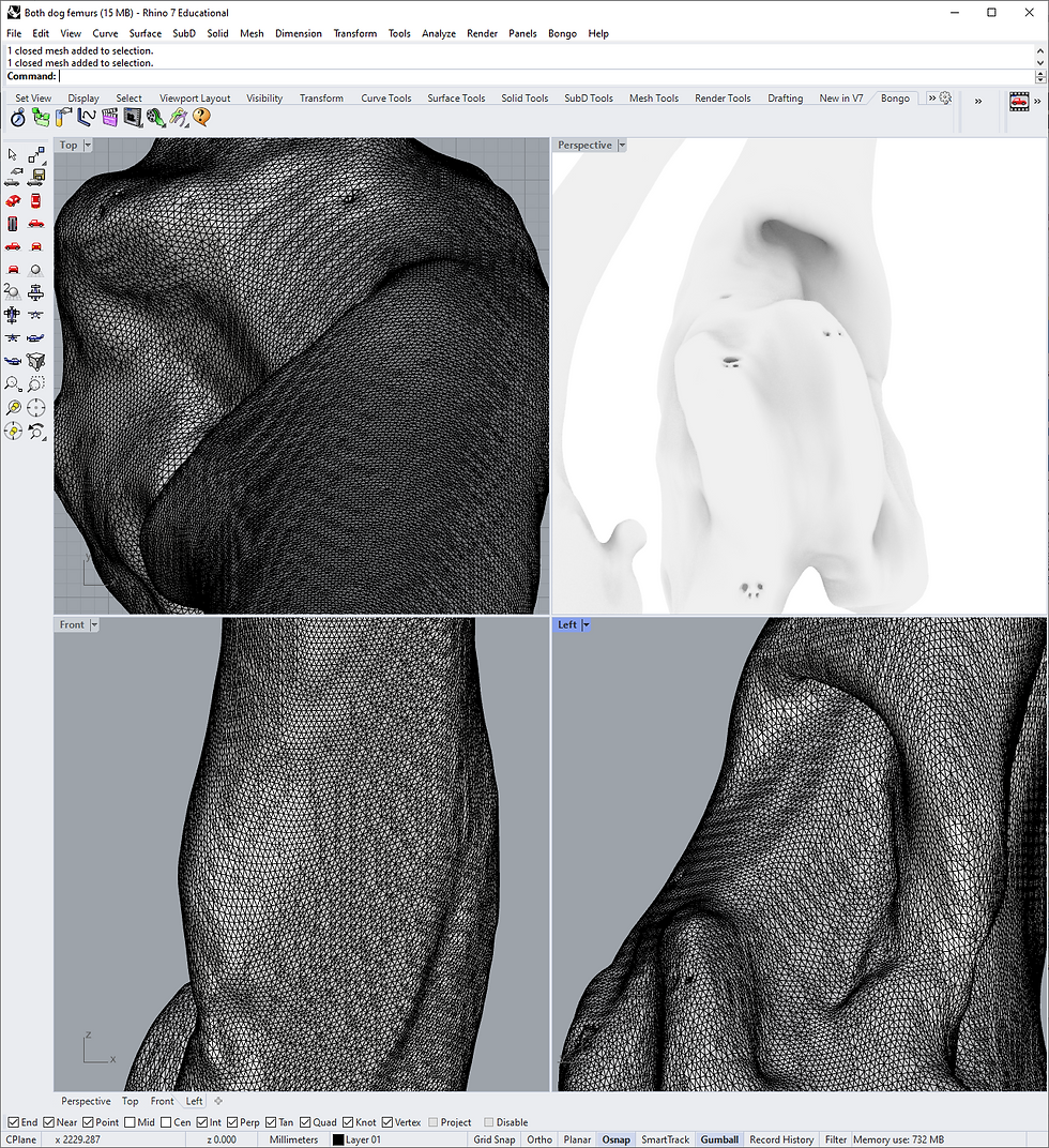 model refinement.PNG