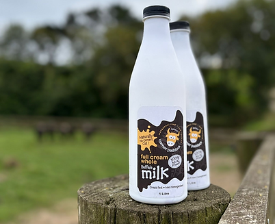 WhatsApp Image 2026-02-12 at 3.44_edited