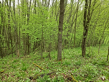 Lot 56 Linksview Way, Gladwin MI