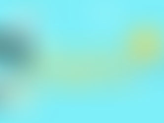 お金持ちになるには一点集中するべき!?