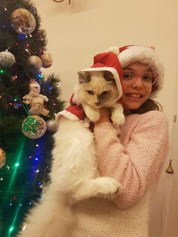 Ragdoll con i bambini