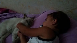 Ragdoll con i bambini