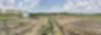 Pano 2.jpg